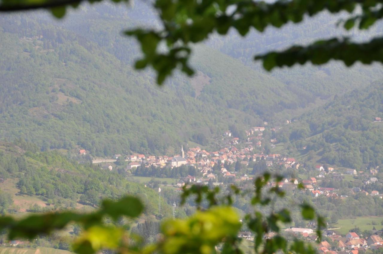Appartement à Mitzach Exterior foto