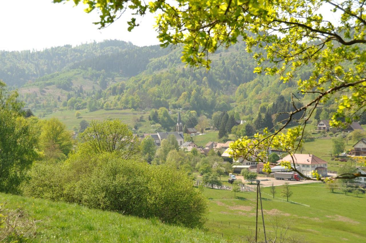 Appartement à Mitzach Exterior foto